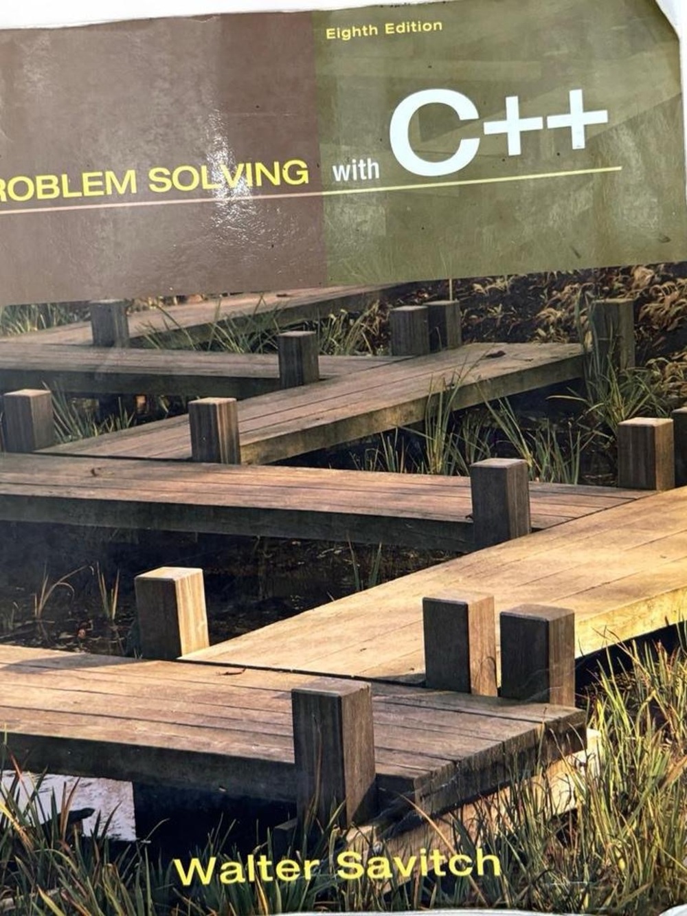 Pearson Addison Wesley C++
Problem Solving with C++ 8th Edition textbook